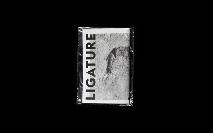 Ligature Paper 1