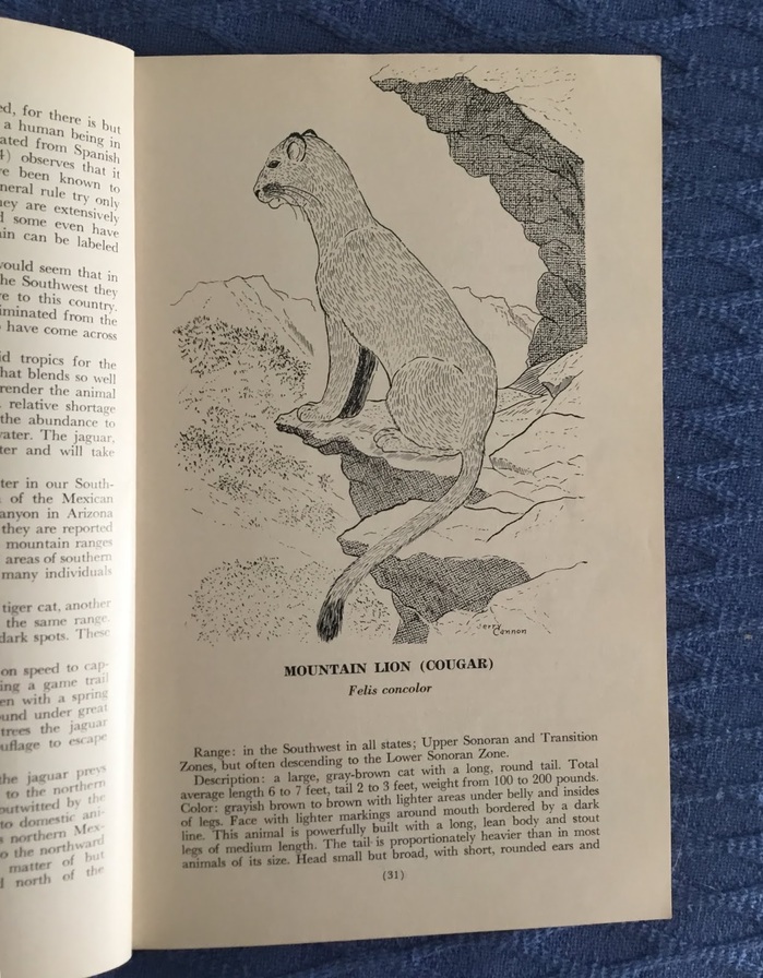 Mammals of the Southwest Deserts 3