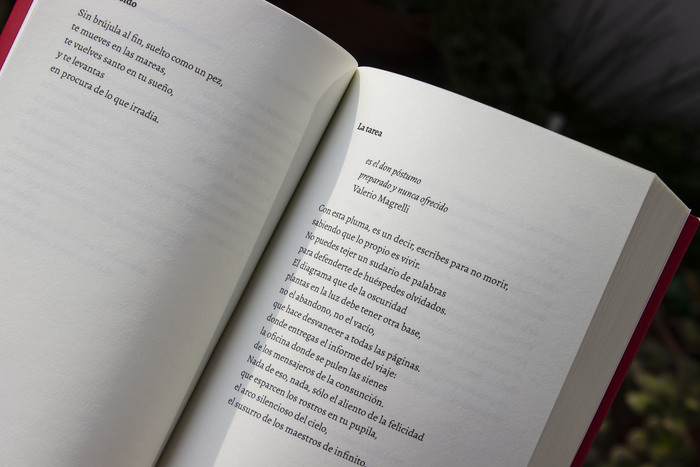 El último hablante by Osvaldo Costiglia 6