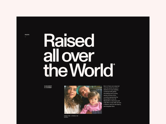 Ali Ali website 3