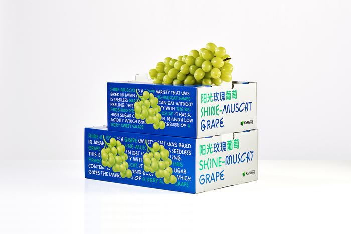 Shine-Muscat Grape 5