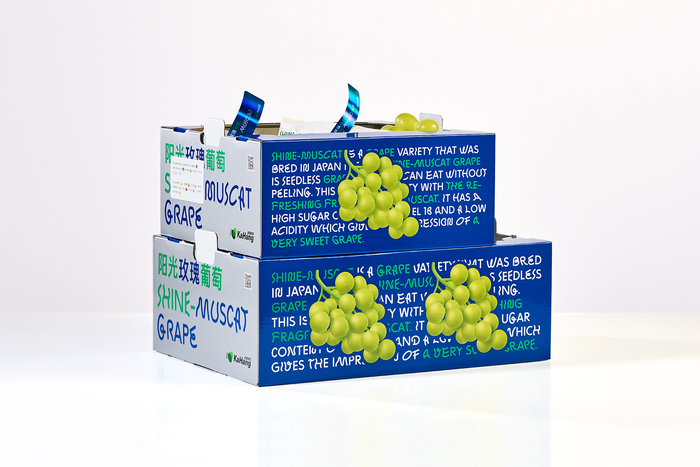 Shine-Muscat Grape 1