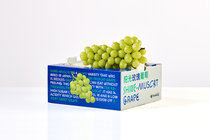 Shine-Muscat Grape 4