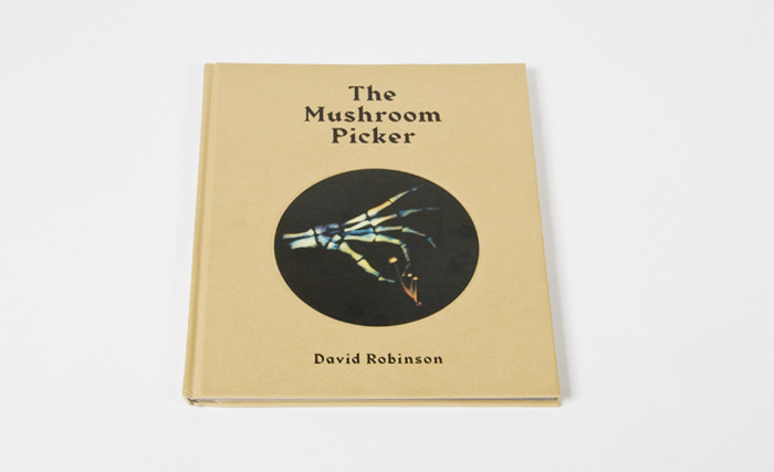 The Mushroom Picker by David Robinson 1