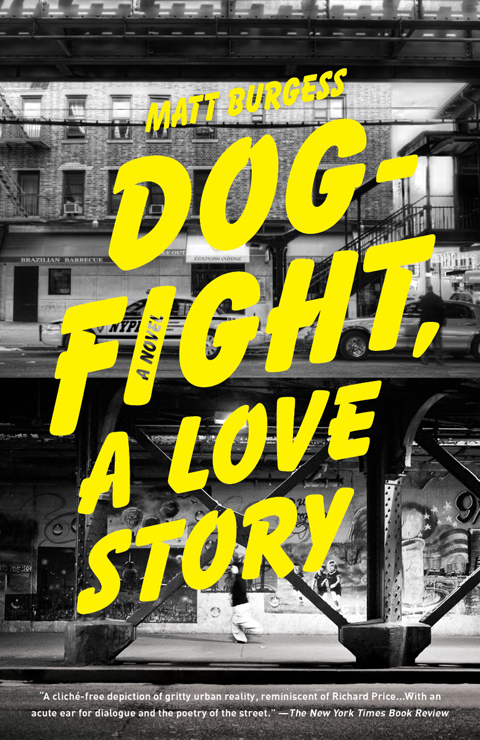 Dogfight, A Love Story by Matt Burgess 3