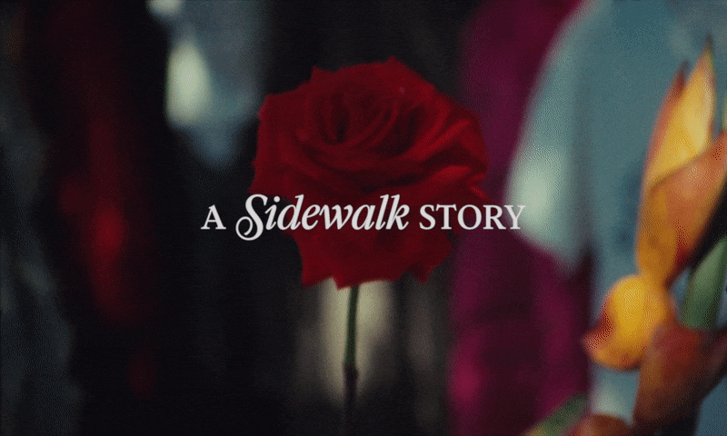 A Sidewalk Story 2