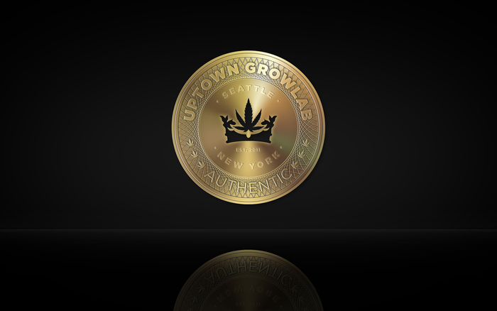 Uptown Growlab vintage New York City subway token