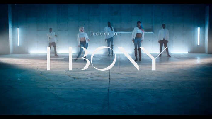 Legendary reality competition show (HBO Max, 2020) 11