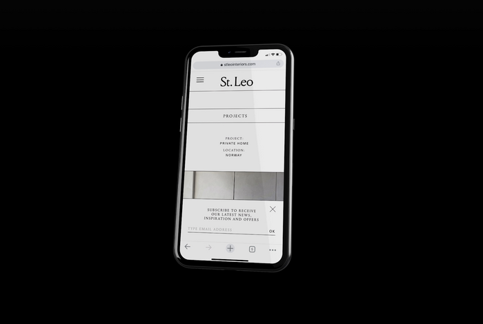 St. Leo visual identity 6