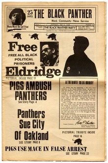 <cite>The Black Panther: Black Community News Service</cite>