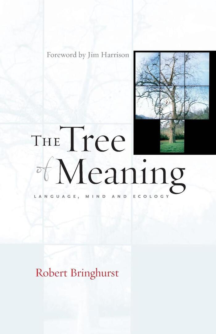 Book cover, pairing Requiem with lettering (“of”). The sans serif used for the subtitle is yet unidentified.