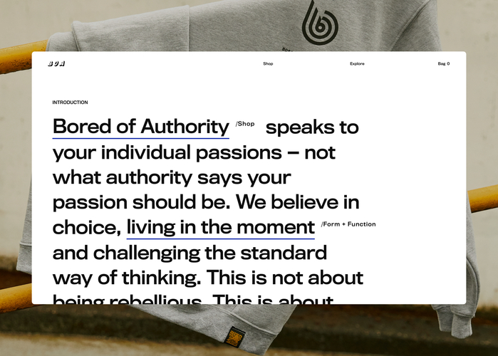 Bored Of Authority website 1