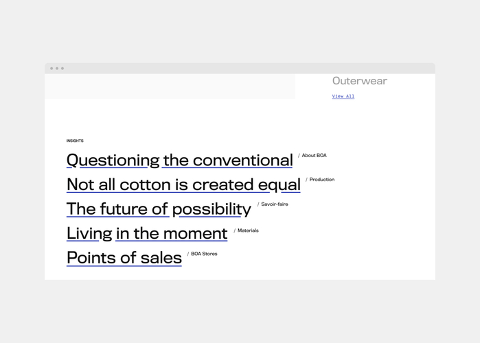 Bored Of Authority website 2