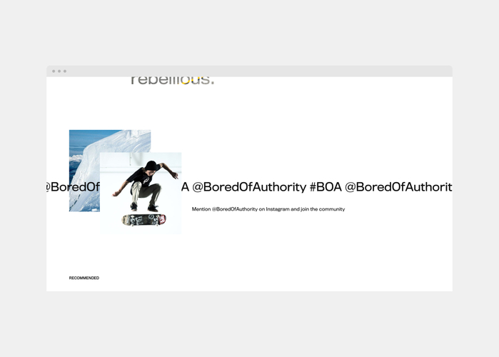 Bored Of Authority website 5