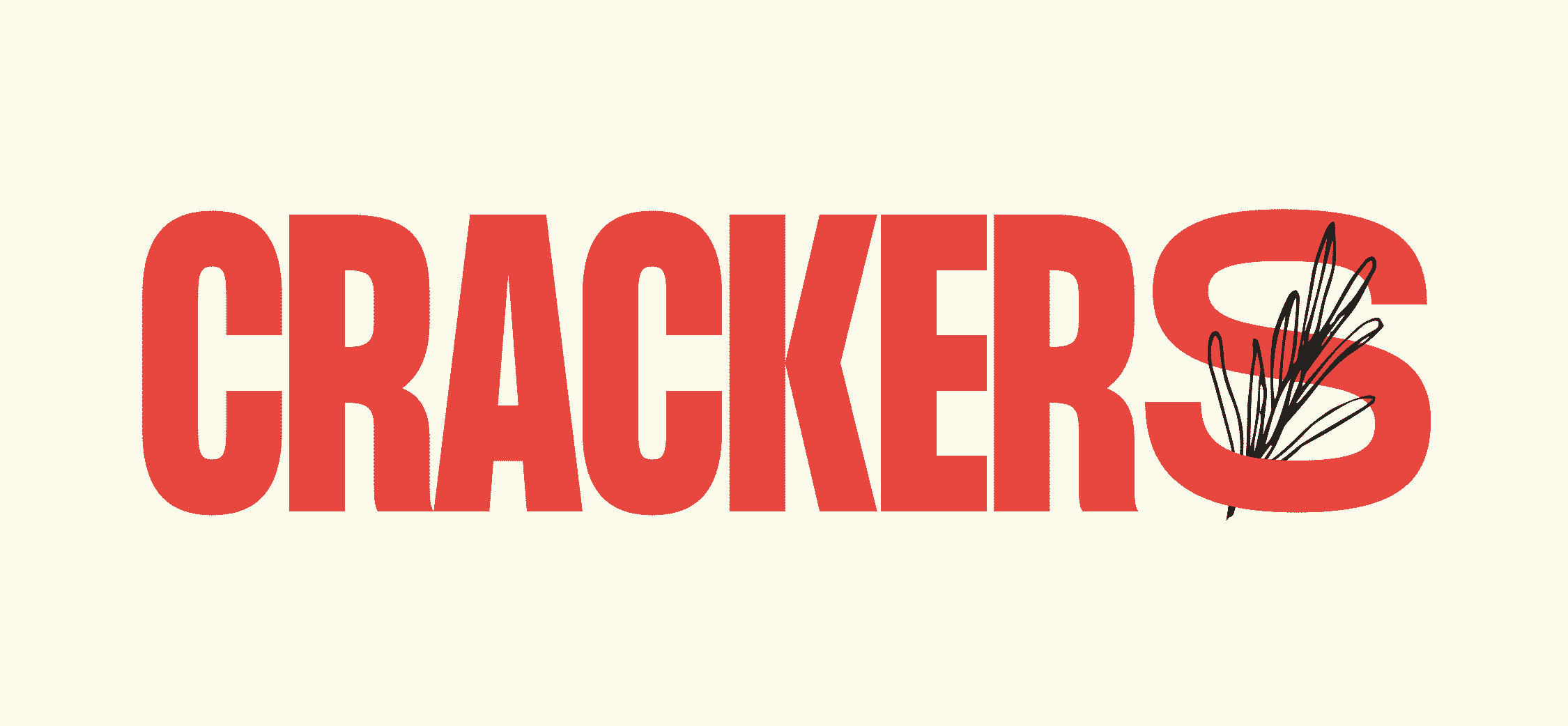 Crackers by Romagna Piada 2
