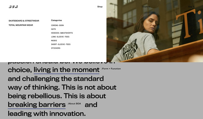 Bored Of Authority website 7