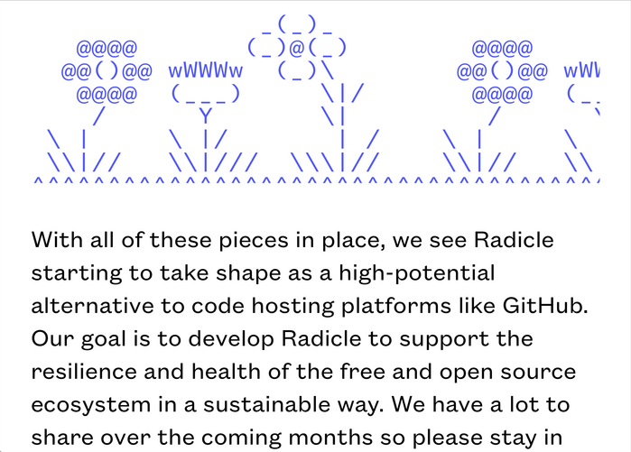 radicle.xyz 4