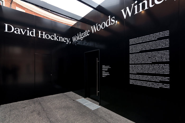 David Hockney – Woldgate Woods, Winter, 2010 6