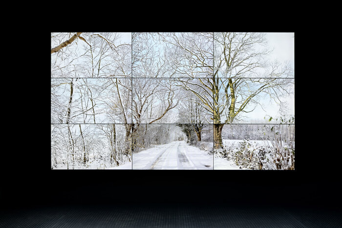 David Hockney – Woldgate Woods, Winter, 2010 5