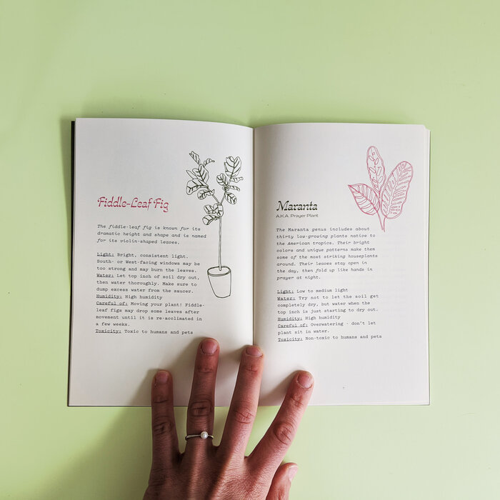 Houseplants for All by Maxine McCrann 3