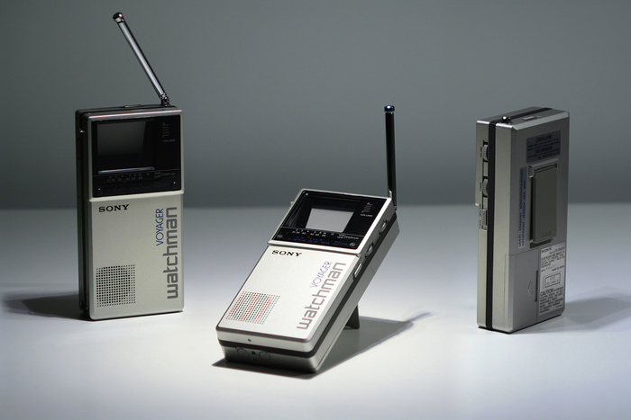 Voyager Watchman FD-20AEB. &ldquo;Voyager&rdquo; is added above the logo in caps from .