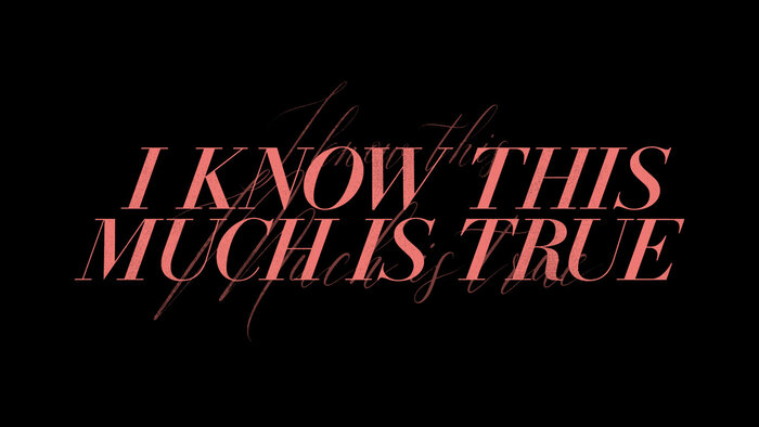 I Know This Much Is True (HBO series) 4