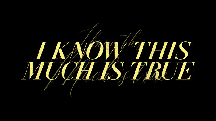 I Know This Much Is True (HBO series) 2