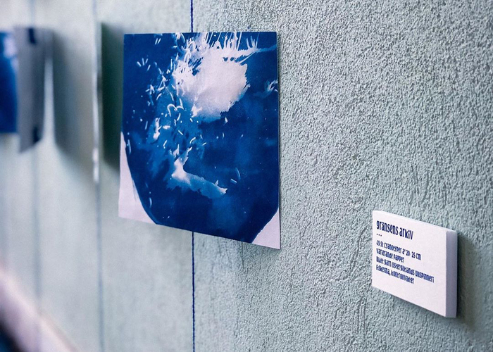 From gränsens arkiv (archive of the border, 2019) 49 cyanotypes à 20×25 centimeters, various papers.
Blue yarn from Östergötlands ullspinneri, pine tree branches from the Border Forest that has been coloured blue through the cyanotype technique.