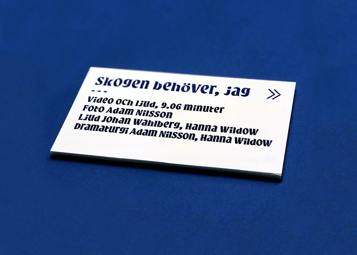 Caption card