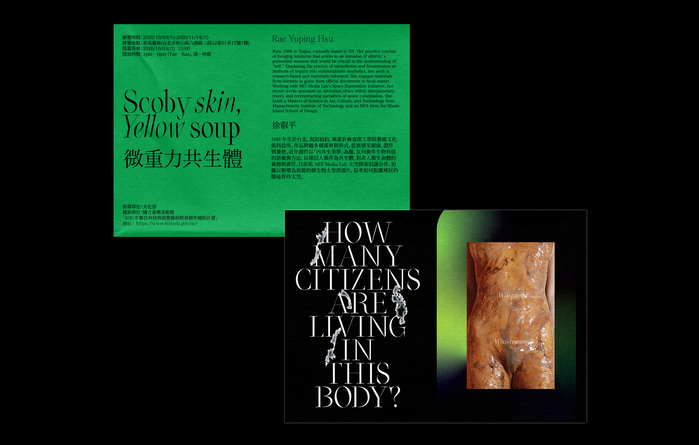 Scoby Skin, Yellow Soup 3