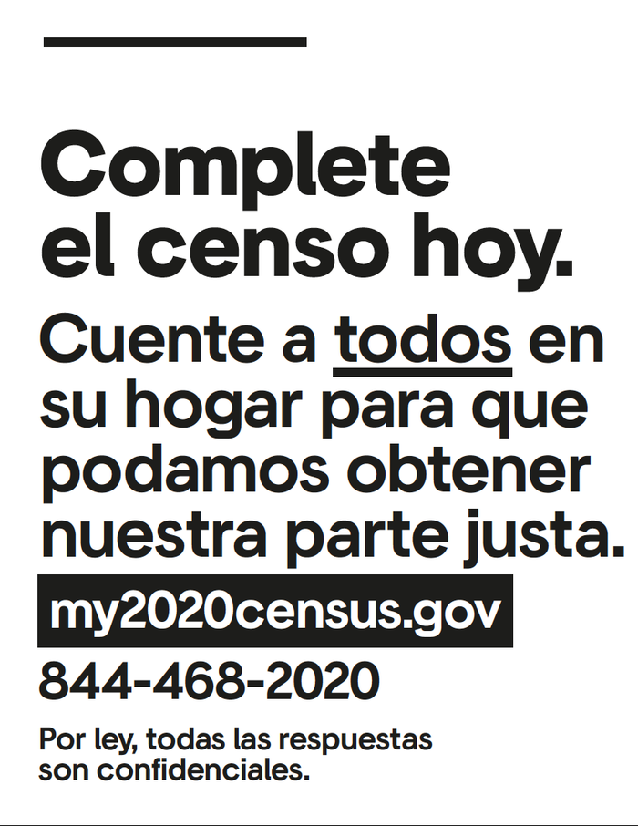 My 2020 census poster series 2