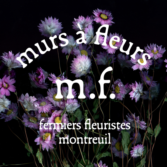 Murs à fleurs visual identity 4