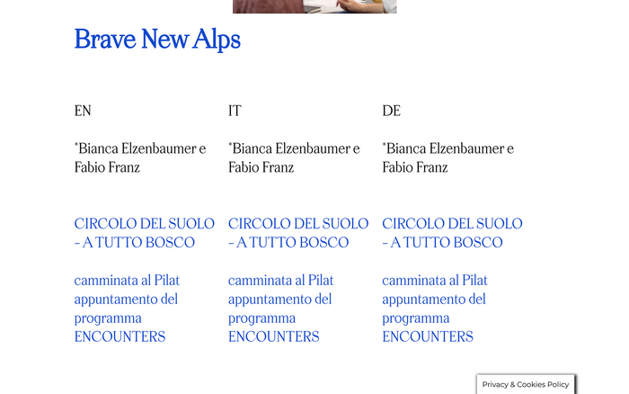 Biennale Gherdëina website 3