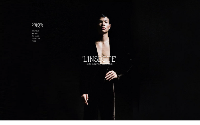 Pellicer website 1