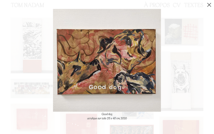 Tom Nadam portfolio website 2