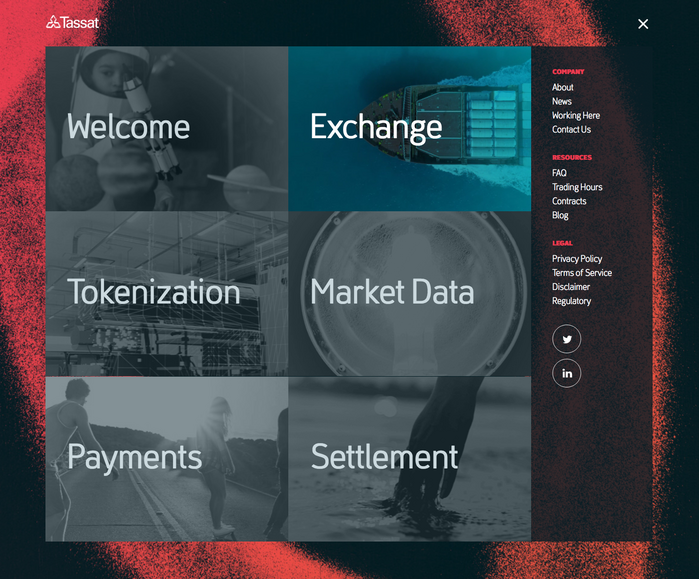 Tassat website 1