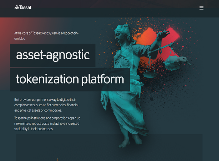 Tassat website 4