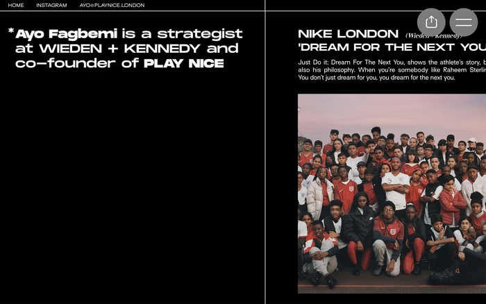 Ayo Fagbemi website 5