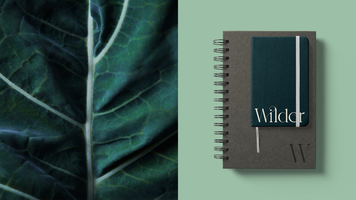 Wilder Fields 12
