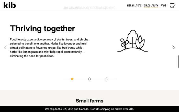 Kibtea website 5