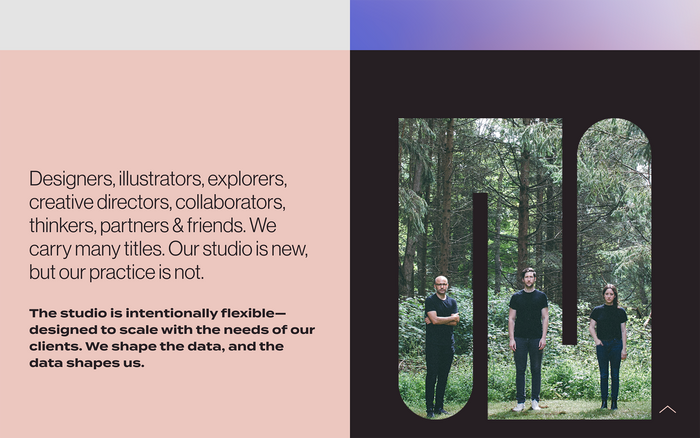Datalands Studio website 4