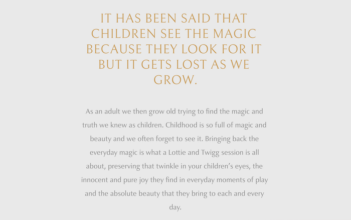 Lottie and Twigg website 4