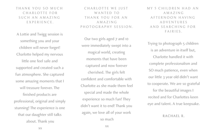 Lottie and Twigg website 6