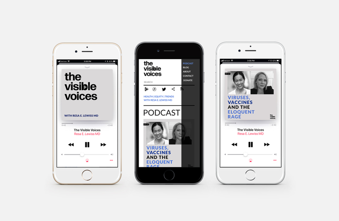 The Visible Voices podcast 3