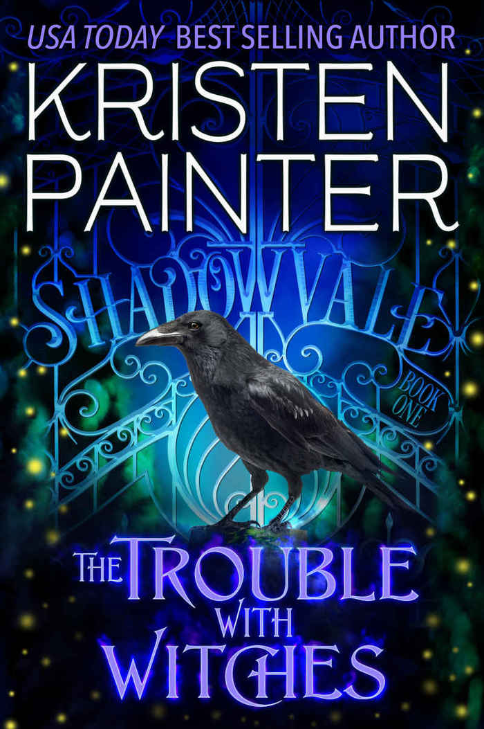 The sans serif used for “best seling author” might be  Condensed. The caps used for the author’s name are either custom drawn or from an unidentified typeface. So are the swashy seriffed letterforms that spel out “Shadowvale” in the gate shown in the illustration.