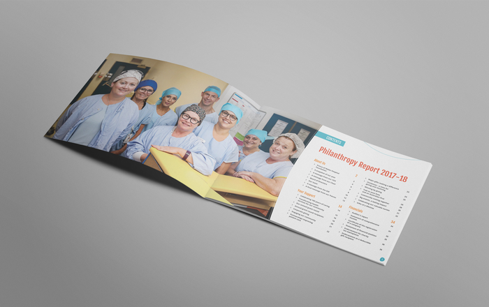 Philanthropy Report 2017–18.