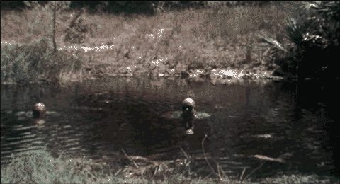 Flashing effect from the trailer