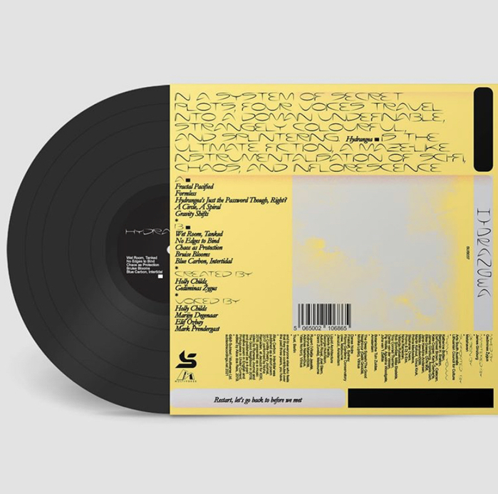 Holly Childs &amp; Gediminas Žygus – Hydrangea album art 2