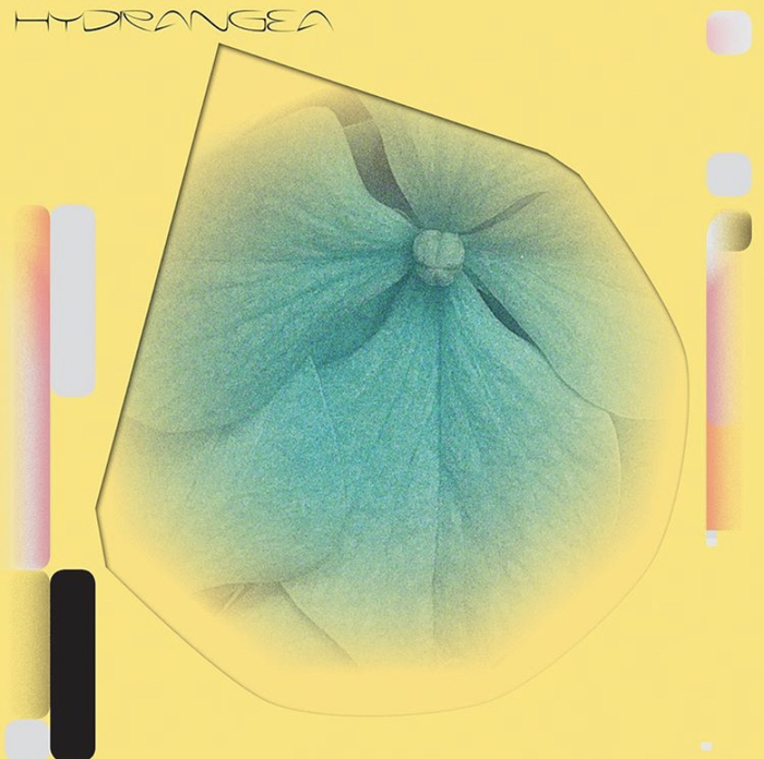 Holly Childs &amp; Gediminas Žygus – Hydrangea album art 1