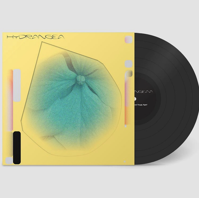 Holly Childs &amp; Gediminas Žygus – Hydrangea album art 3